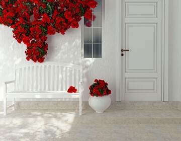 Windows & Doors